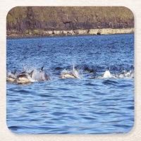 Wild Dolphin Pod Porpoising Through Waves Blue Art