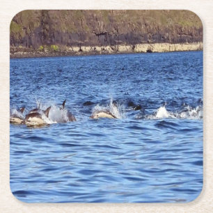 Wild Dolphin Pod Porpoising Through Waves Blue Art Square Paper Coaster