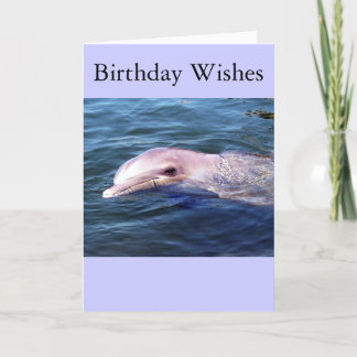Wild Dophin Card