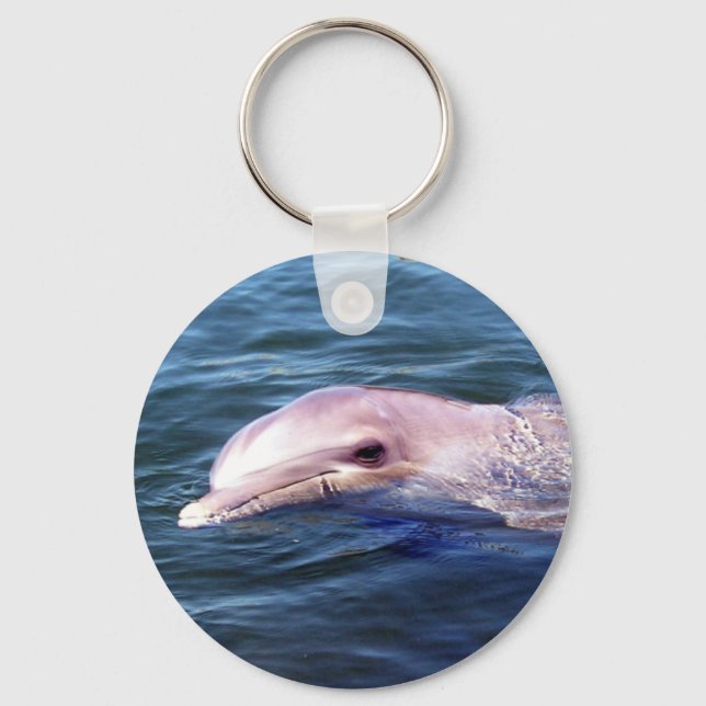 Wild Dophin Key Ring (Front)