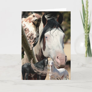 Wild Dreams and Feathers "Mustang Meg" WILD CARD