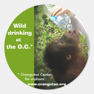 Wild Drinking stickers -version 1