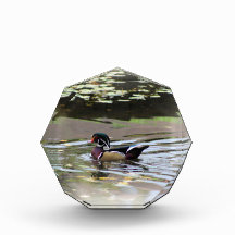 Wild Duck Photo Block