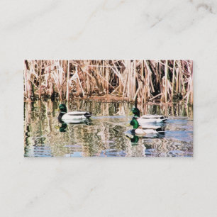 WILD DUCKS BUSINESS CARD