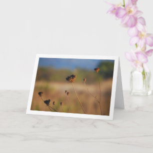 Wild Dying Flowers in Field Landscape Card