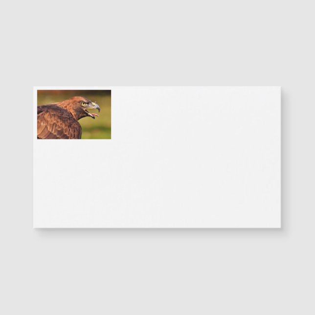Wild Eagle Business Cards (Front)