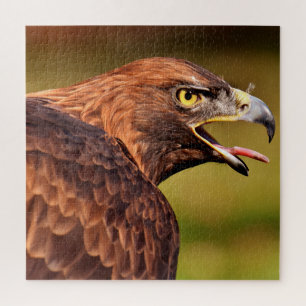 Wild Eagle Jigsaw Puzzle,676 pcs Puzzle