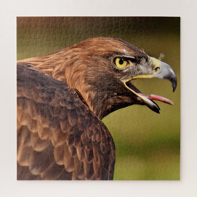 Wild Eagle Jigsaw Puzzle,676 pcs Puzzle (Vertical)