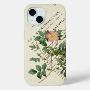 Wild Elegance: Rosa malmundariensis iPhone Case