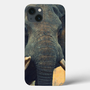 Wild Elephant Close Up iPad Mini case