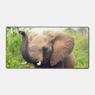 Wild Elephant in the Jungle Desk Mat
