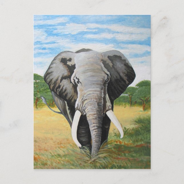 Wild Elephant Postcard (Front)