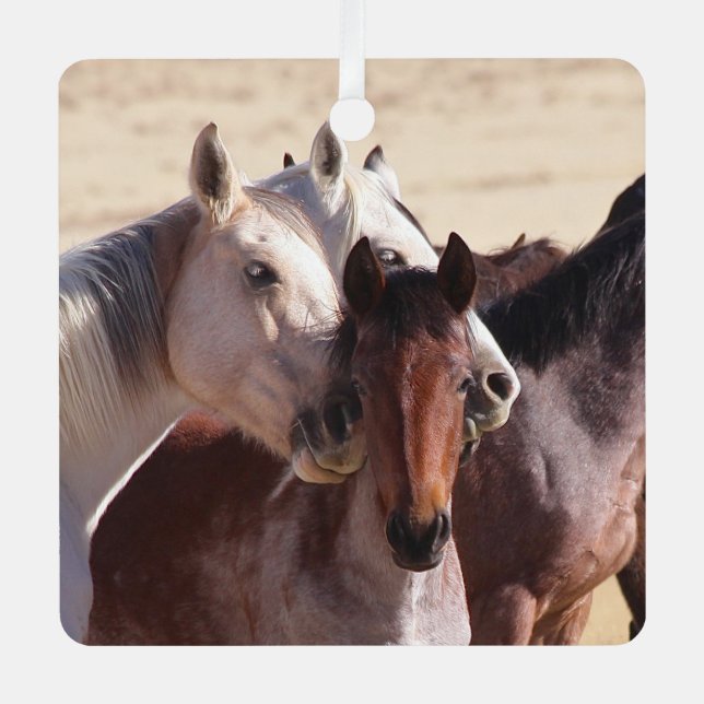 Wild Family Love, Ornament (Front)