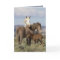 Wild Family Wild Horse Greeting Card