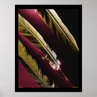 Wild Feathers Poster