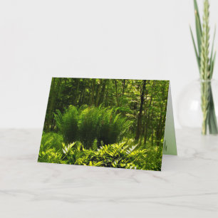 Wild Fern Abstract Birthday Card