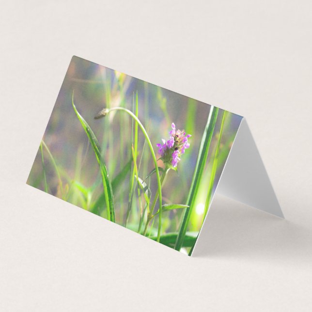 Wild Field Grass - Violet Blossom Folded Card (Front)