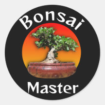 Wild Fig Bonsai Master Sunset