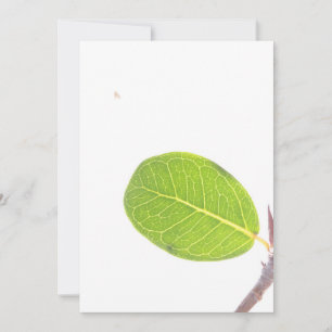 Wild Fig Rich Green Leaf Texture Card