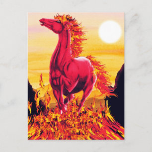 Wild Fire Horse Postcard