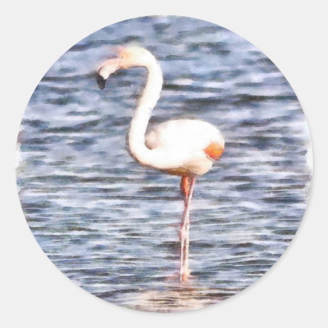 Wild Flamingo Classic Round Sticker (Front)