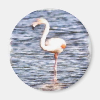 Wild Flamingo Magnet