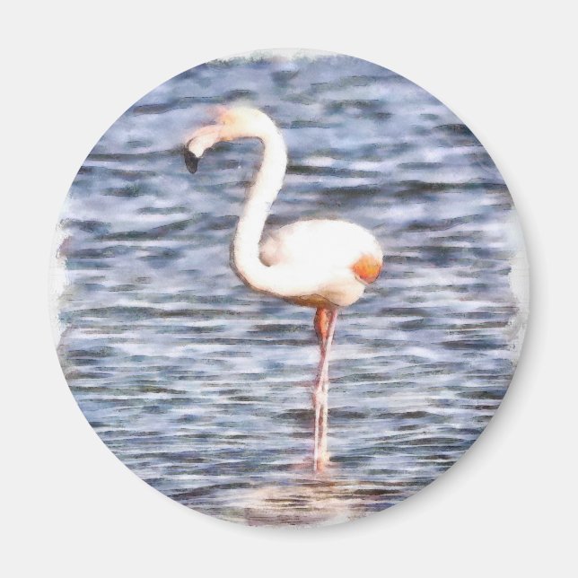 Wild Flamingo Magnet (Front)