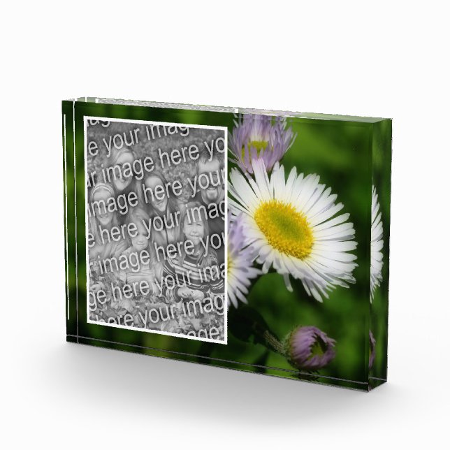 Wild Fleabane Daisy Flower Create Your Own Photo Block (Right)