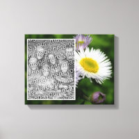 Wild Fleabane Daisy Flower Create Your Own Photo