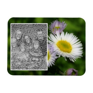 Wild Fleabane Daisy Flower Frame Add Your Photo Magnet