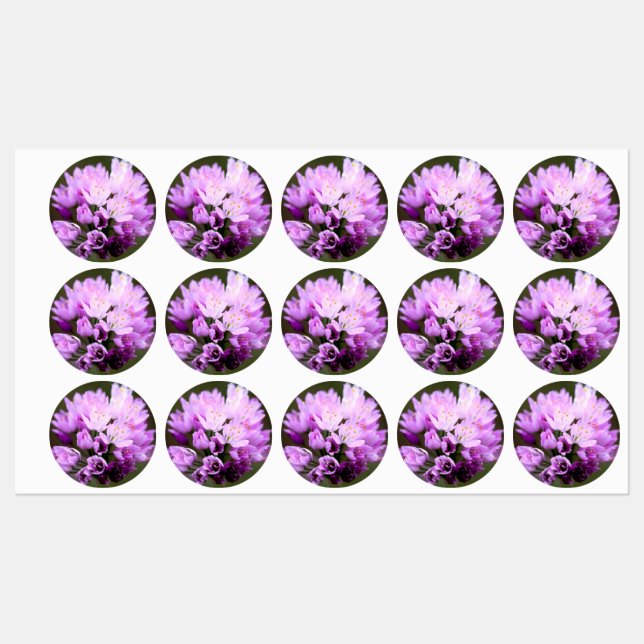 Wild Flower (Sheet)