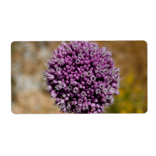 Wild Flower