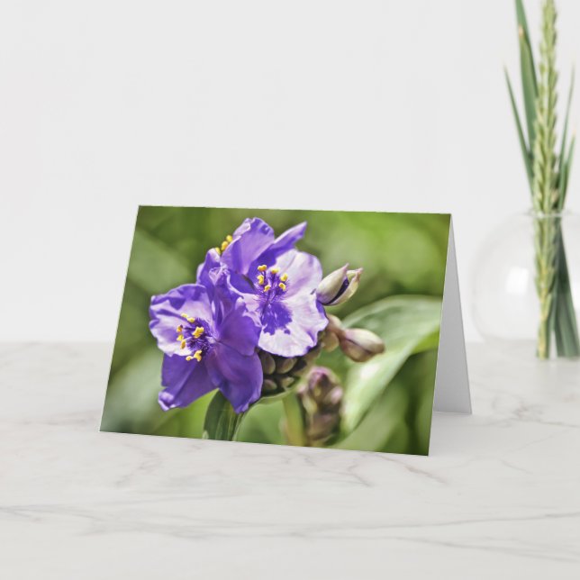 Wild Flower Bible Verse Note Card Hebrews 11:1 (Front)
