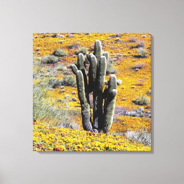 Wild Flower bloom Canvas Print (Front)