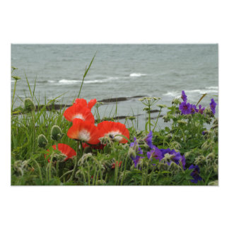 Wild Flower Coast Photo Print