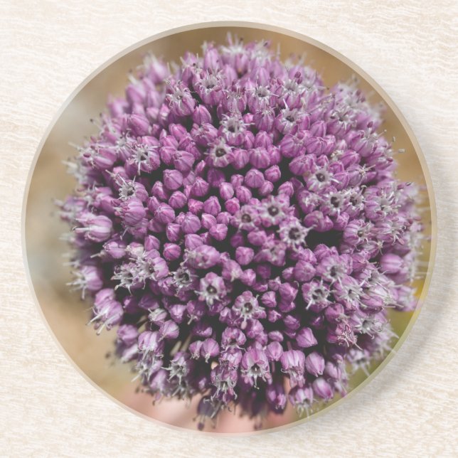 Wild Flower Coaster (Front)