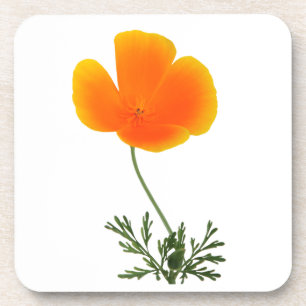 wild flower coaster