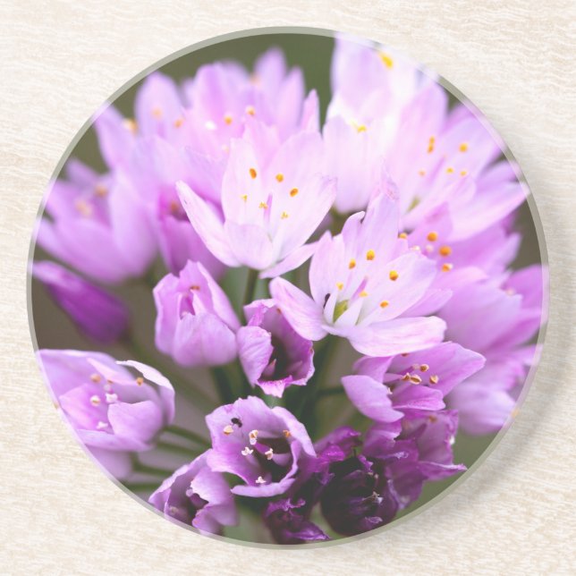 Wild Flower Coaster (Front)