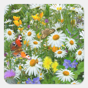 Wild Flower Meadow Square Sticker