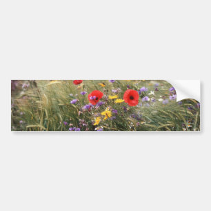 Wild flowers bumper sticker