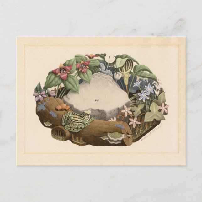 Wild Flowers by Grant Wood Postcard (Front)