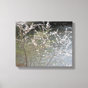 WILD FLOWERS CANVAS PRINT