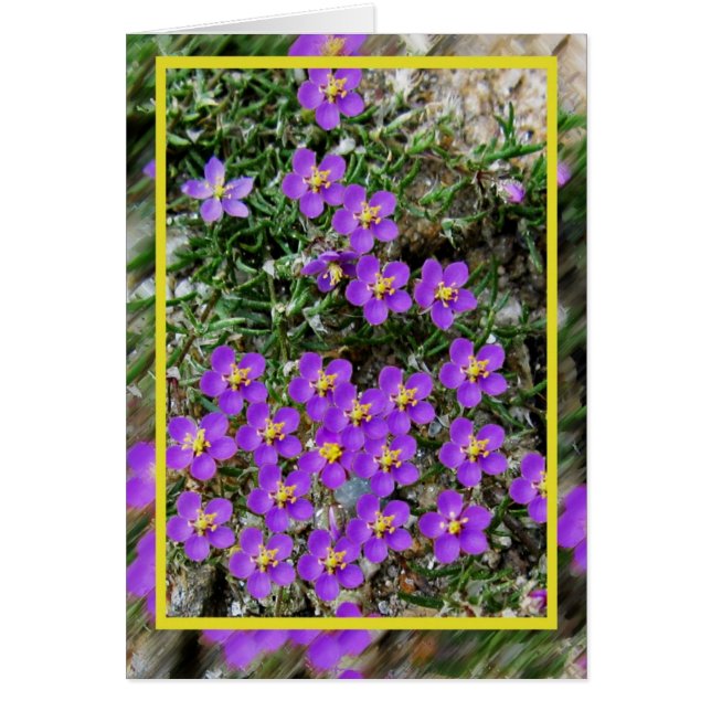 Wild flowers Card (Front)