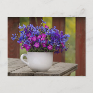 wild flowers, carnation and cornflower postcard