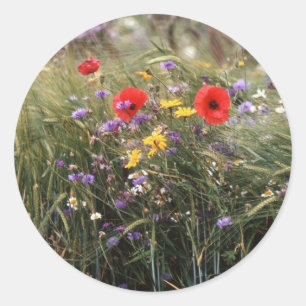 Wild flowers classic round sticker