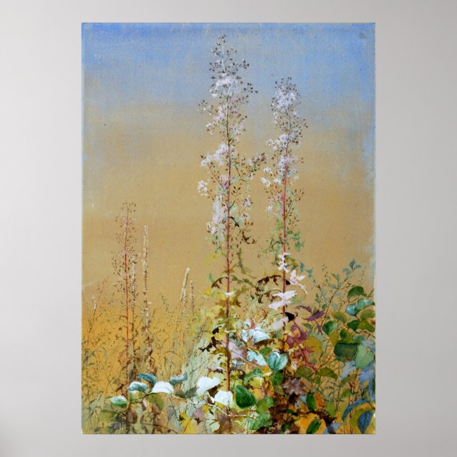 Wild Flowers Fidelia Bridges Watercolor Fine Art Poster (Front)