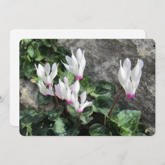 Wild Flowers Flat Holiday Card