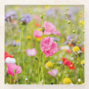 Wild Flowers Glass Coaster