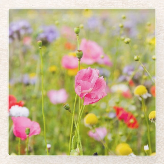 Wild Flowers Glass Coaster (Front)