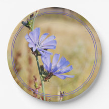 Wild Flowers in the Morning